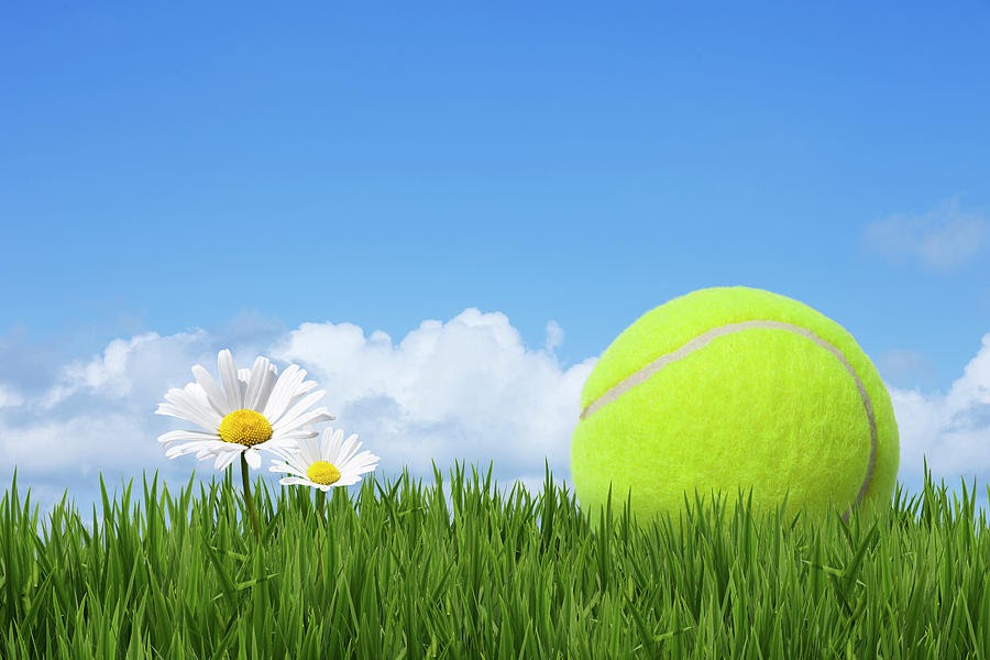 Konijn Componist toespraak Inschrijven tennis voorjaarscompetitie - De Sluipers Tennis, Squash en Padel